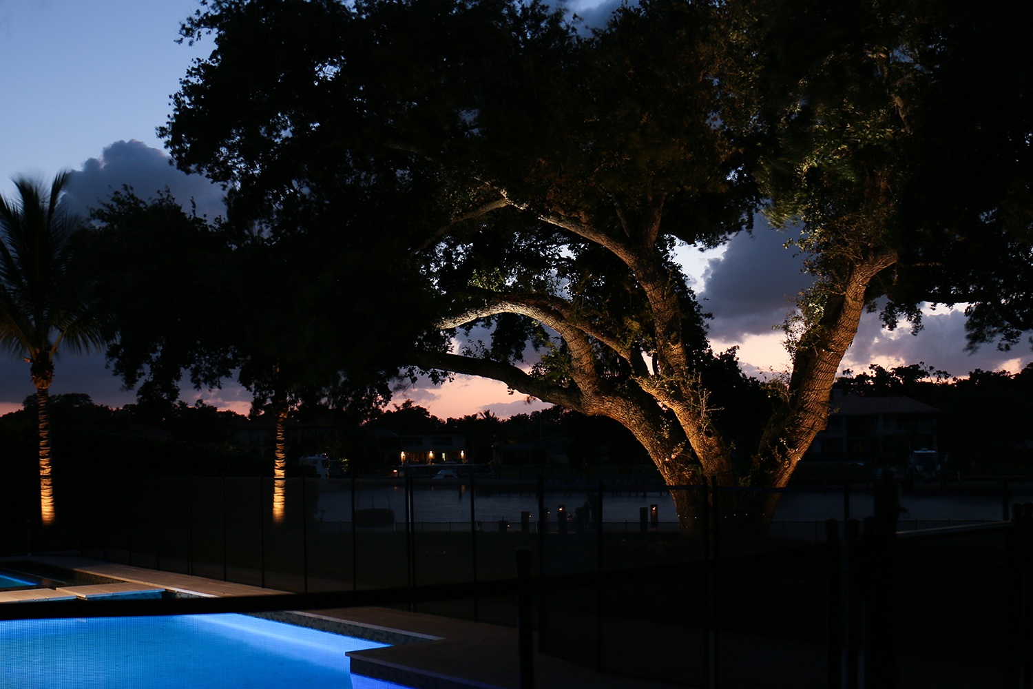 Pool Tree Lights