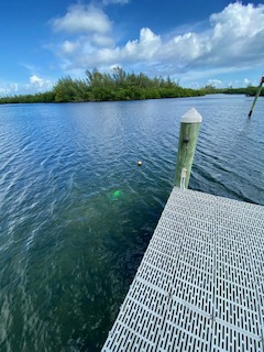 fish-dock-corner